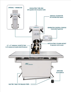 Del-UMG High Frequency Generator and Table