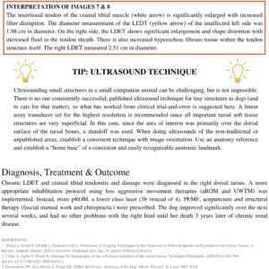 ultrasound technique tip and diagnosis, treatment & outcome