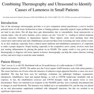 combining thermography and ultrasound to identify causes of lameness in small patients