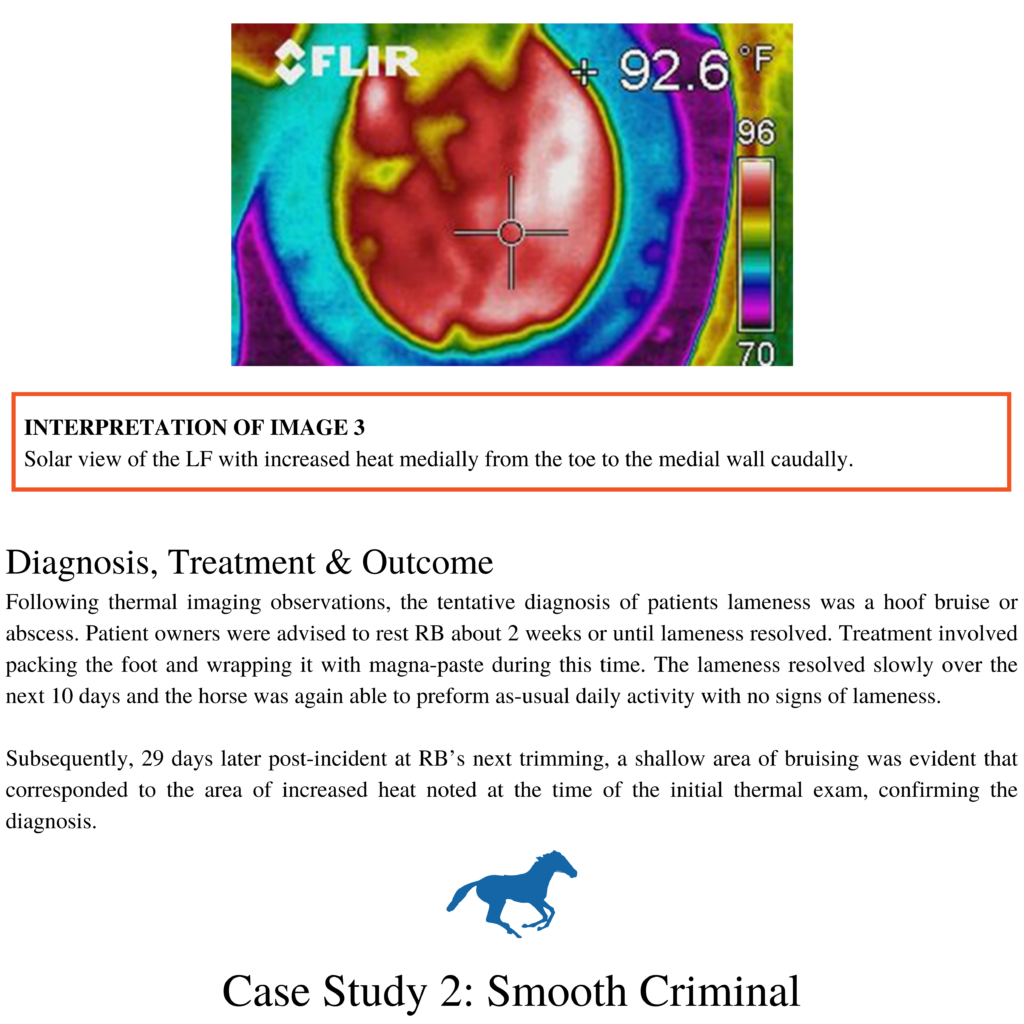 Thermography Case Study Two Equine Patients Vetel
