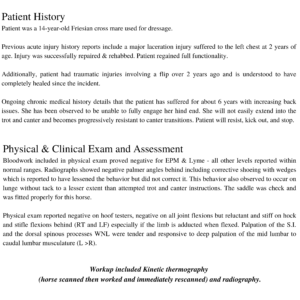 thermal case study equine 4