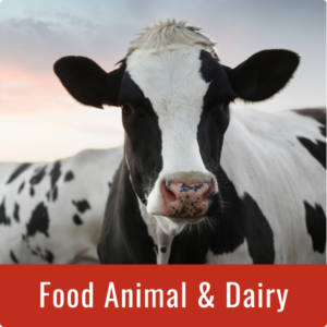 Food Animal+Dairy