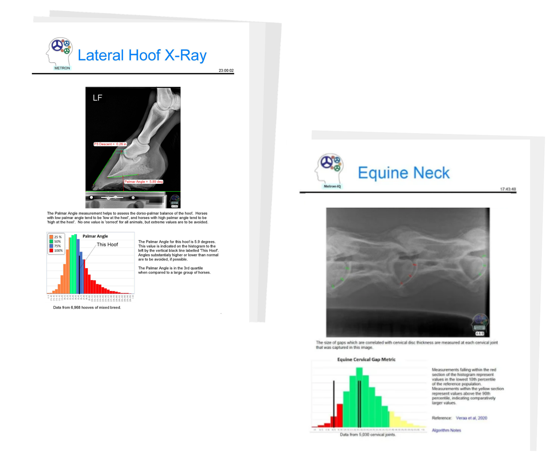 equine reports