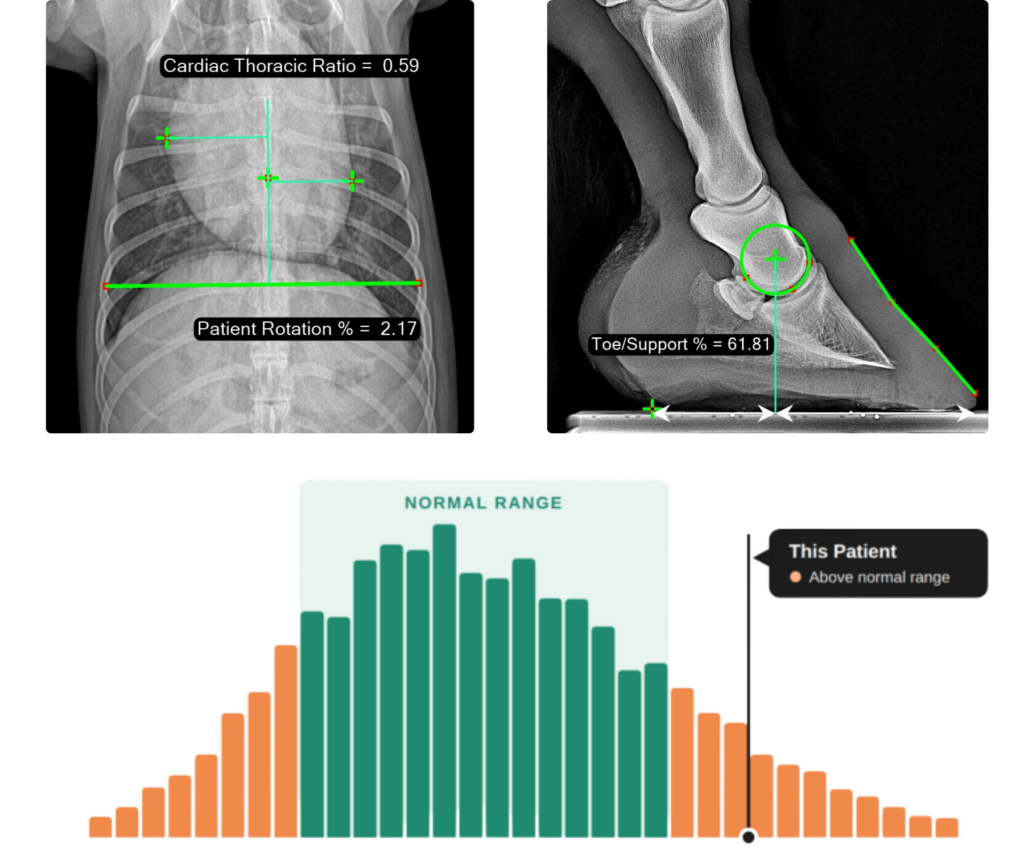 radiographs with score